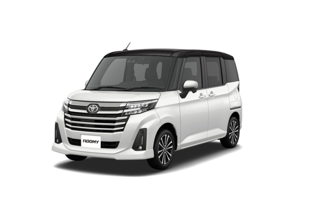 ルーミー写真