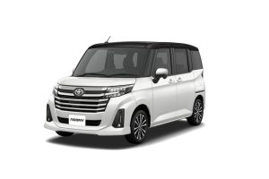 ルーミー写真